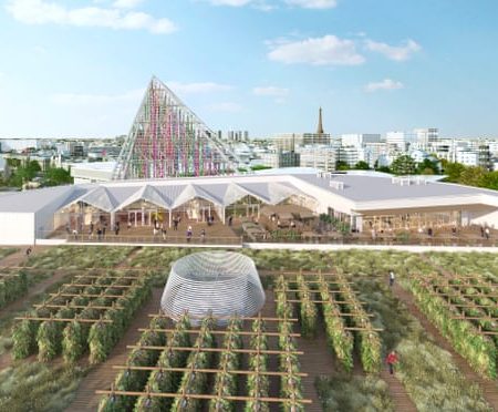 Bio-agricoltura sui tetti di Parigi