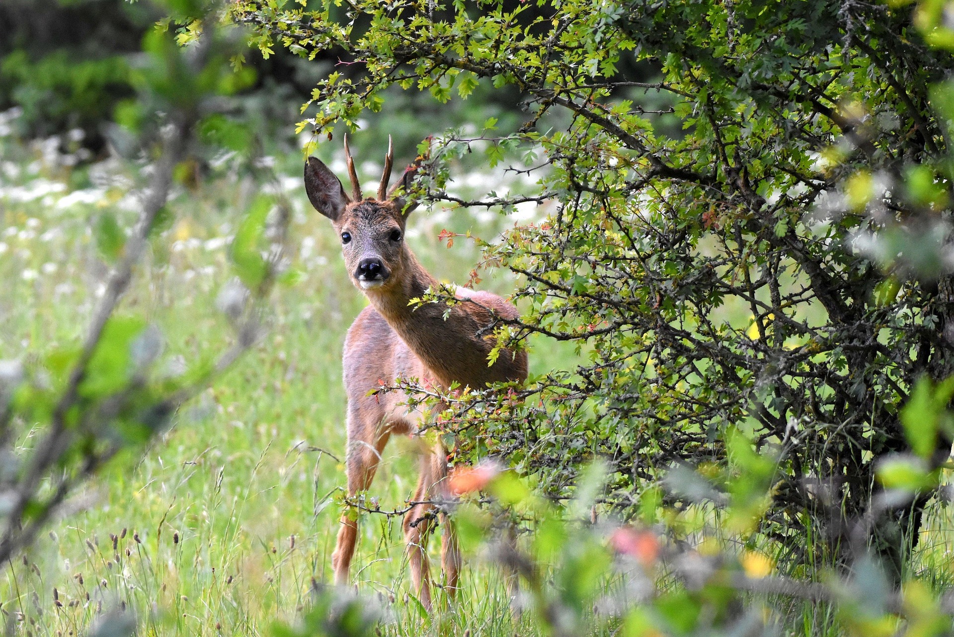 Natura e attività umana